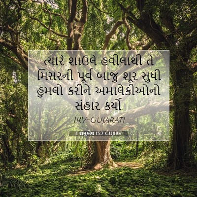 Picture 07 - 1 શમુએલ 15:7 GUJIRV - ત્યારે શાઉલે - Bible Verse Picture