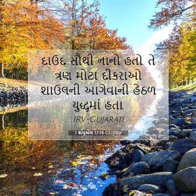 Picture 07 - 1 શમુએલ 17:14 GUJIRV - દાઉદ સૌથી નાનો હતો. - Bible Verse Picture