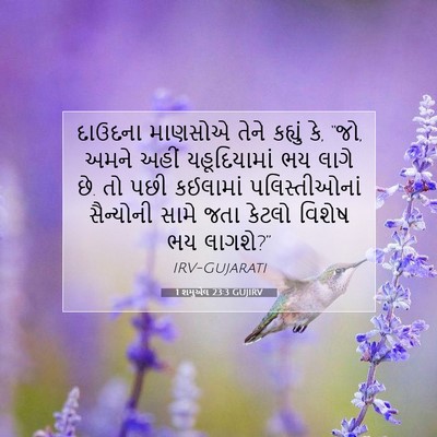 Picture 07 - 1 શમુએલ 23:3 GUJIRV - દાઉદના માણસોએ - Bible Verse Picture