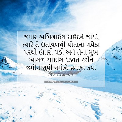 Picture 07 - 1 શમુએલ 25:23 GUJIRV - જયારે અબિગાઈલે - Bible Verse Picture