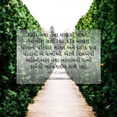 Picture 07 - 1 શમુએલ 27:3 GUJIRV - દાઉદ તથા તેના - Bible Verse Picture
