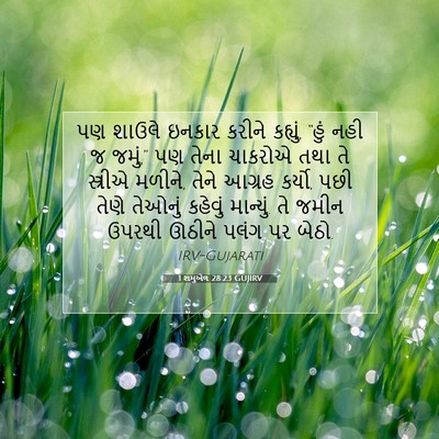 Picture 07 - 1 શમુએલ 28:23 GUJIRV - પણ શાઉલે ઇનકાર - Bible Verse Picture