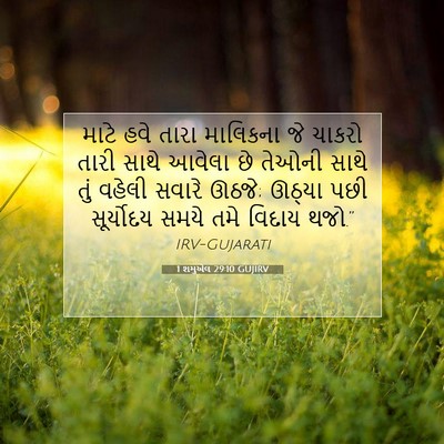 Picture 07 - 1 શમુએલ 29:10 GUJIRV - માટે હવે તારા - Bible Verse Picture