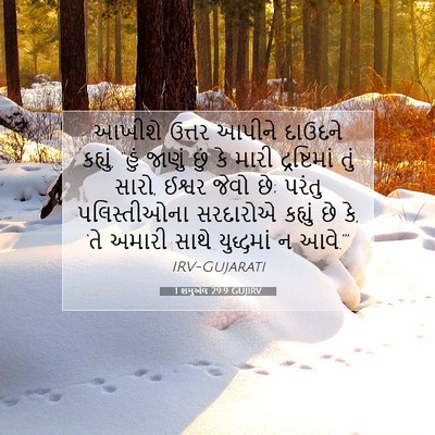 Picture 07 - 1 શમુએલ 29:9 GUJIRV - આખીશે ઉત્તર આપીને - Bible Verse Picture