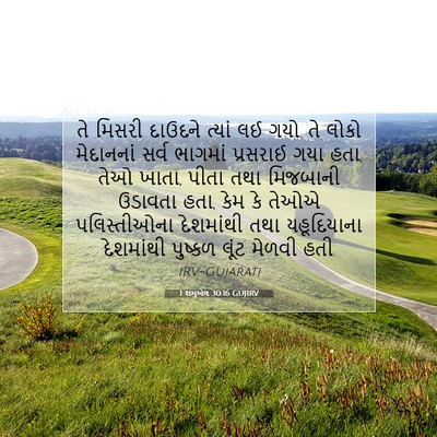 Picture 07 - 1 શમુએલ 30:16 GUJIRV - તે મિસરી દાઉદને - Bible Verse Picture