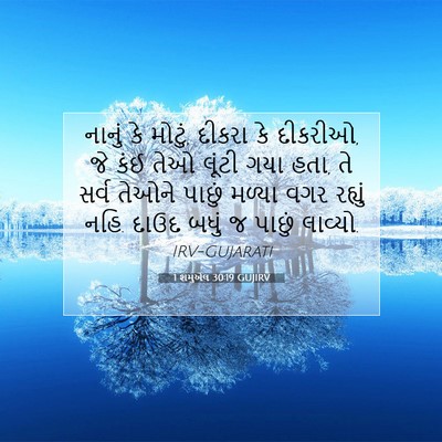 Picture 07 - 1 શમુએલ 30:19 GUJIRV - નાનું કે મોટું, - Bible Verse Picture