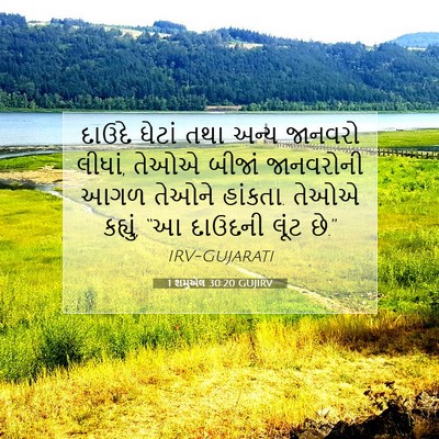 Picture 07 - 1 શમુએલ 30:20 GUJIRV - દાઉદે ઘેટાં તથા - Bible Verse Picture