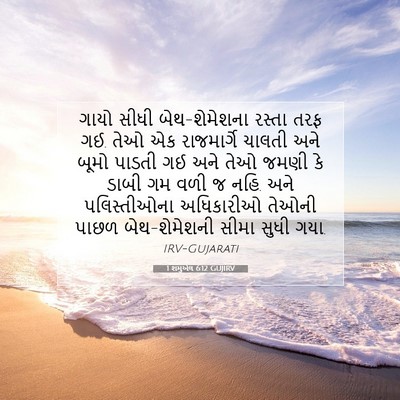 Picture 07 - 1 શમુએલ 6:12 GUJIRV - ગાયો સીધી - Bible Verse Picture
