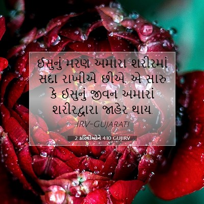 Picture 07 - 2 કરિંથીઓને 4:10 GUJIRV - ઈસુનું મરણ અમારા - Bible Verse Picture