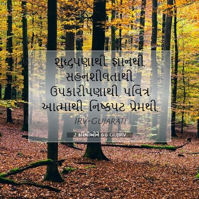 Picture 07 - 2 કરિંથીઓને 6:6 GUJIRV - શુદ્ધપણાથી, - Bible Verse Picture