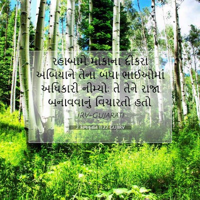 Picture 07 - 2 કાળવૃતાંત 11:22 GUJIRV - રહાબામે માકાના - Bible Verse Picture