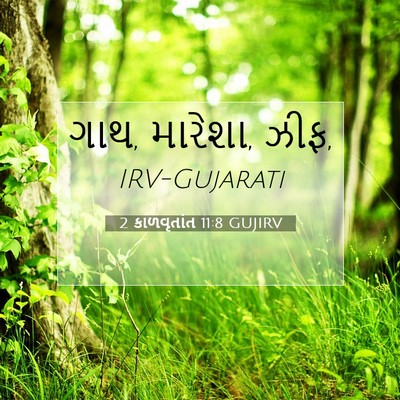 Picture 07 - 2 કાળવૃતાંત 11:8 GUJIRV - ગાથ, મારેશા, - Bible Verse Picture