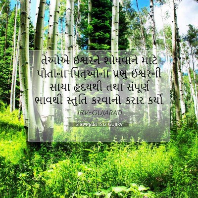 Picture 07 - 2 કાળવૃતાંત 15:12 GUJIRV - તેઓએ ઈશ્વરને - Bible Verse Picture
