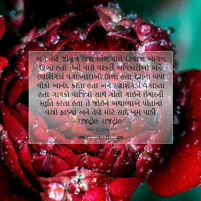 Picture 07 - 2 કાળવૃતાંત 23:13 GUJIRV - અને તેણે જોયું કે - Bible Verse Picture
