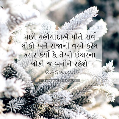 Picture 07 - 2 કાળવૃતાંત 23:16 GUJIRV - પછી યહોયાદાએ પોતે, - Bible Verse Picture