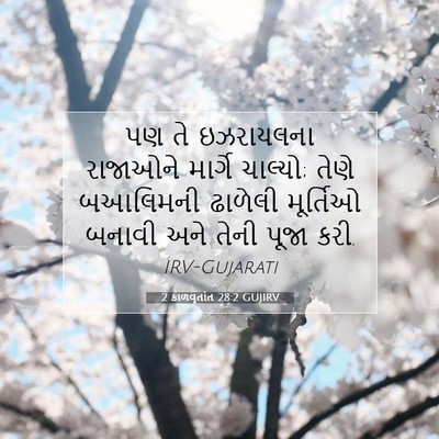 Picture 07 - 2 કાળવૃતાંત 28:2 GUJIRV - પણ તે ઇઝરાયલના - Bible Verse Picture