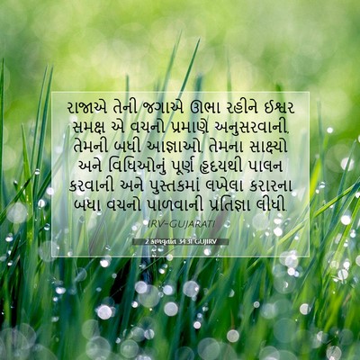 Picture 07 - 2 કાળવૃતાંત 34:31 GUJIRV - રાજાએ તેની જગાએ - Bible Verse Picture