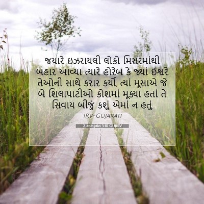 Picture 07 - 2 કાળવૃતાંત 5:10 GUJIRV - જયારે ઇઝરાયલી - Bible Verse Picture