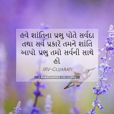 Picture 07 - 2 થેસ્સલોનિકીઓને 3:16 GUJIRV - હવે શાંતિના પ્રભુ - Bible Verse Picture