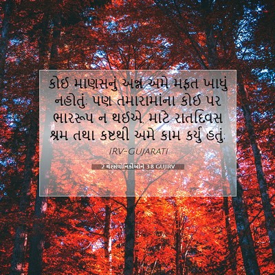 Picture 07 - 2 થેસ્સલોનિકીઓને 3:8 GUJIRV - કોઈ માણસનું અન્ન - Bible Verse Picture