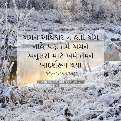 Picture 07 - 2 થેસ્સલોનિકીઓને 3:9 GUJIRV - અમને અધિકાર ન હતો - Bible Verse Picture