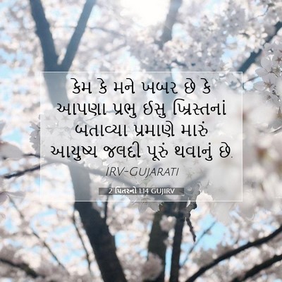 Picture 07 - 2 પિતરનો 1:14 GUJIRV - કેમ કે મને ખબર છે - Bible Verse Picture