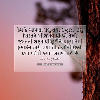 Picture 07 - 2 પિતરનો 2:20 GUJIRV - કેમ કે આપણા પ્રભુ - Bible Verse Picture