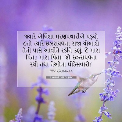 Picture 07 - 2 રાજાઓ 13:14 GUJIRV - જ્યારે એલિશા - Bible Verse Picture