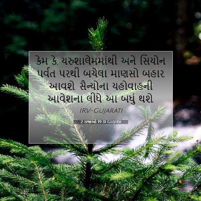 Picture 07 - 2 રાજાઓ 19:31 GUJIRV - કેમ કે, - Bible Verse Picture