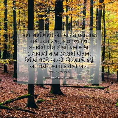 Picture 07 - 2 રાજાઓ 4:42 GUJIRV - બાલ-શાલીશાથી એક - Bible Verse Picture