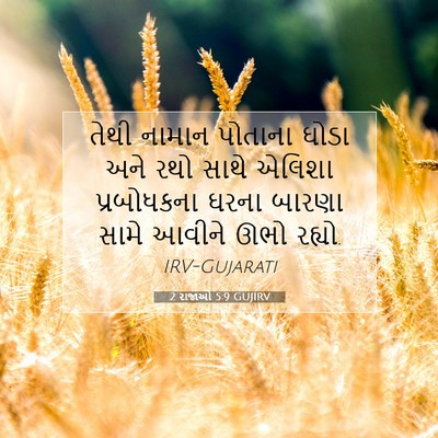 Picture 07 - 2 રાજાઓ 5:9 GUJIRV - તેથી નામાન પોતાના - Bible Verse Picture