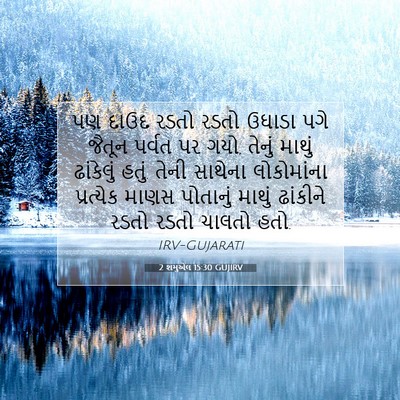 Picture 07 - 2 શમુએલ 15:30 GUJIRV - પણ દાઉદ રડતો રડતો - Bible Verse Picture