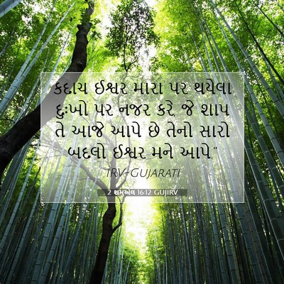 Picture 07 - 2 શમુએલ 16:12 GUJIRV - કદાચ ઈશ્વર મારા પર - Bible Verse Picture