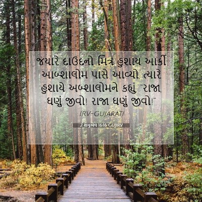 Picture 07 - 2 શમુએલ 16:16 GUJIRV - જયારે દાઉદનો - Bible Verse Picture