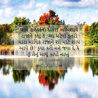Picture 07 - 2 શમુએલ 16:9 GUJIRV - પછી સરુયાના દીકરા - Bible Verse Picture