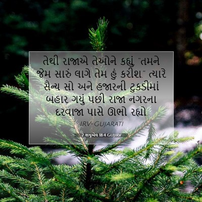 Picture 07 - 2 શમુએલ 18:4 GUJIRV - તેથી રાજાએ તેઓને - Bible Verse Picture