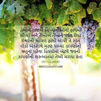 Picture 07 - 2 શમુએલ 21:9 GUJIRV - તેઓને રાજાએ - Bible Verse Picture