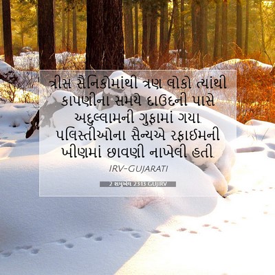 Picture 07 - 2 શમુએલ 23:13 GUJIRV - ત્રીસ સૈનિકોમાંથી - Bible Verse Picture