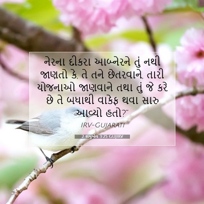 Picture 07 - 2 શમુએલ 3:25 GUJIRV - નેરના દીકરા - Bible Verse Picture