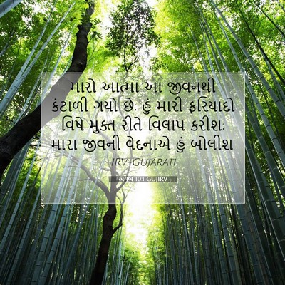Picture 07 - અયૂબ 10:1 GUJIRV - મારો આત્મા આ - Bible Verse Picture