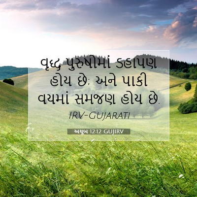 Picture 07 - અયૂબ 12:12 GUJIRV - વૃદ્ધ પુરુષોમાં - Bible Verse Picture