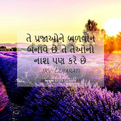 Picture 07 - અયૂબ 12:23 GUJIRV - તે પ્રજાઓને બળવાન - Bible Verse Picture