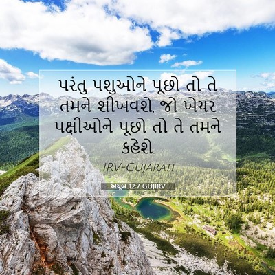 Picture 07 - અયૂબ 12:7 GUJIRV - પરંતુ પશુઓને પૂછો - Bible Verse Picture