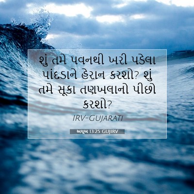 Picture 07 - અયૂબ 13:25 GUJIRV - શું તમે પવનથી ખરી - Bible Verse Picture