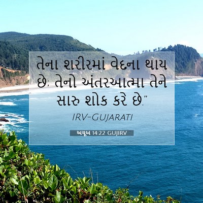 Picture 07 - અયૂબ 14:22 GUJIRV - તેના શરીરમાં - Bible Verse Picture
