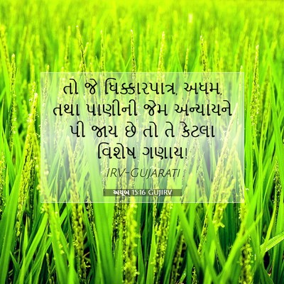 Picture 07 - અયૂબ 15:16 GUJIRV - તો જે - Bible Verse Picture