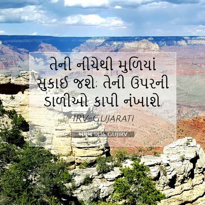 Picture 07 - અયૂબ 18:16 GUJIRV - તેની નીચેથી - Bible Verse Picture