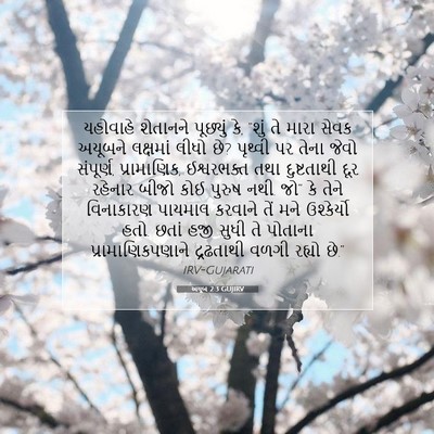 Picture 07 - અયૂબ 2:3 GUJIRV - યહોવાહે શેતાનને - Bible Verse Picture