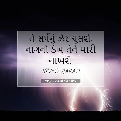 Picture 07 - અયૂબ 20:16 GUJIRV - તે સર્પનું ઝેર - Bible Verse Picture