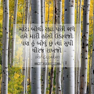 Picture 07 - અયૂબ 21:3 GUJIRV - મારા બોલી રહ્યા - Bible Verse Picture